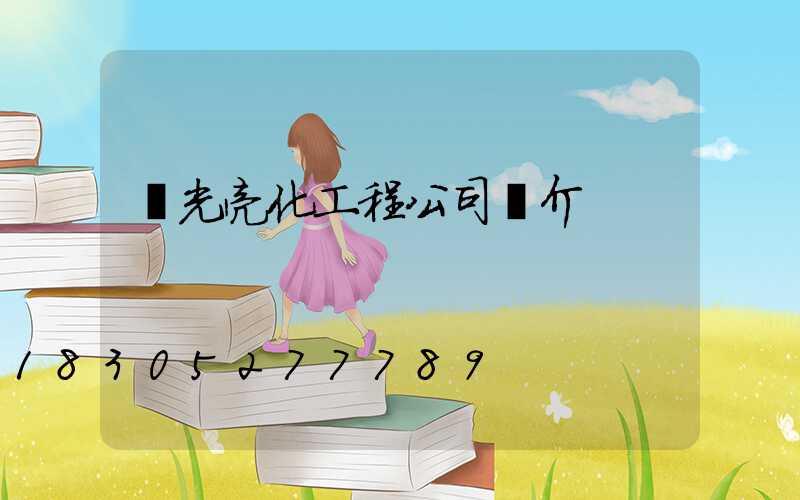 燈光亮化工程公司簡介