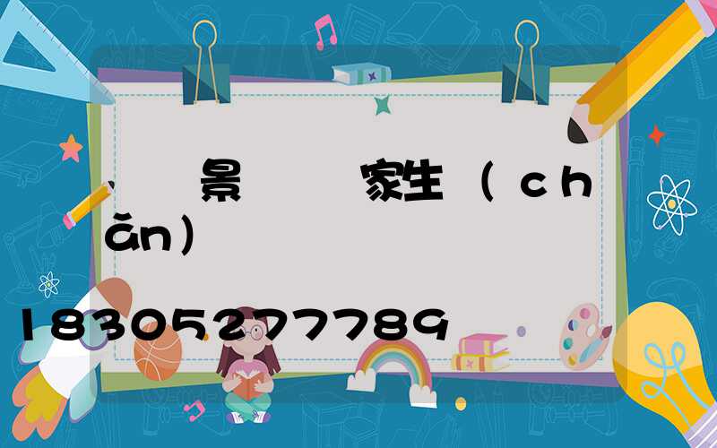 燈籠景觀燈廠家生產(chǎn)