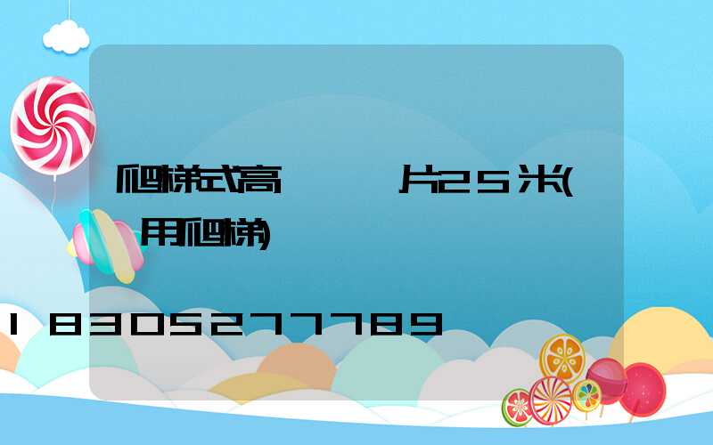 爬梯式高桿燈圖片25米(專用爬梯)