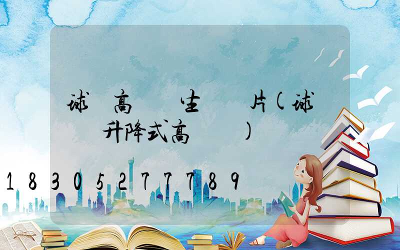 球場高桿燈生產圖片(球場電動升降式高桿燈)