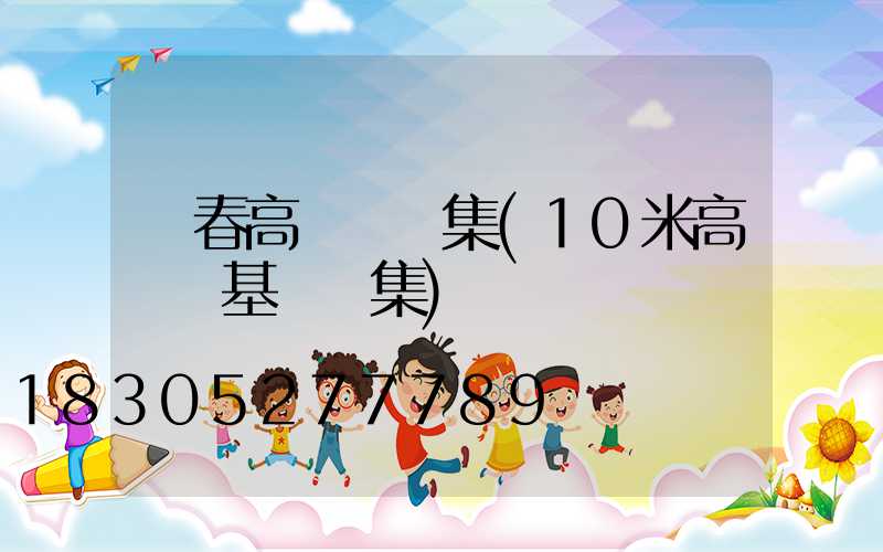 琿春高桿燈圖集(10米高桿燈基礎圖集)