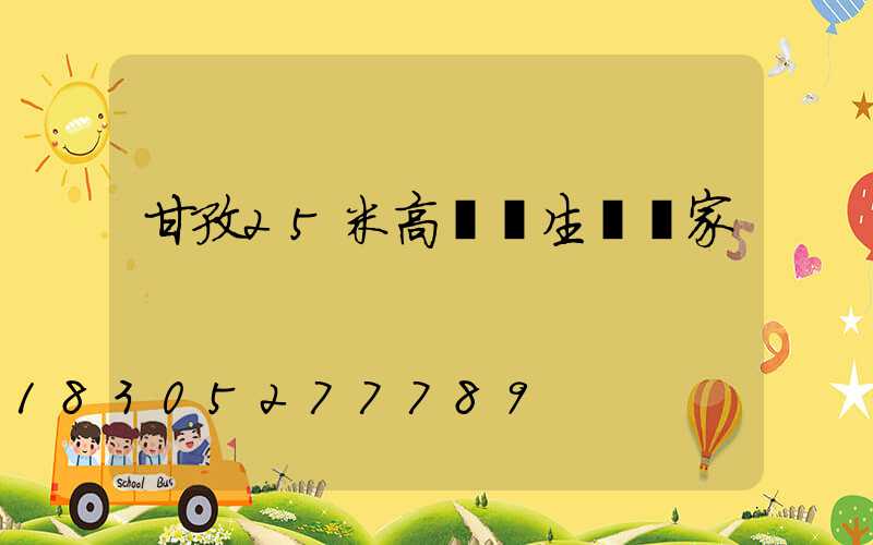 甘孜25米高桿燈生產廠家