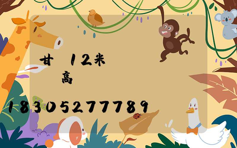 甘肅12米廣場(chǎng)高桿燈