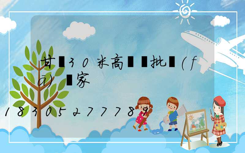 甘肅30米高桿燈批發(fā)廠家