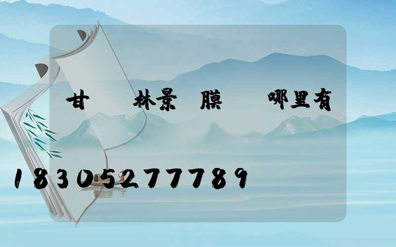 甘肅園林景觀膜結構哪里有