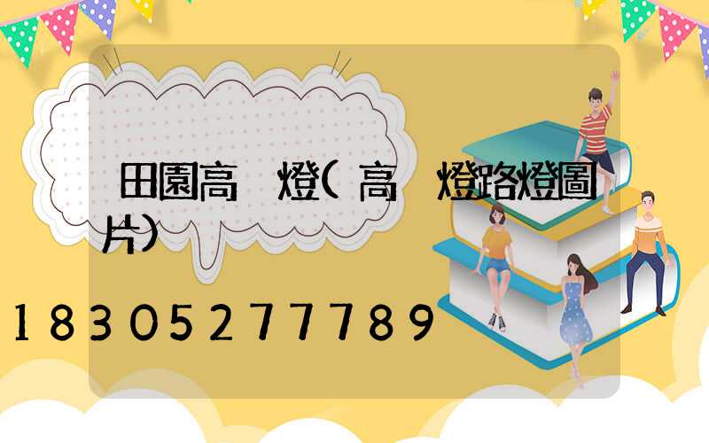 田園高桿燈(高桿燈路燈圖片)