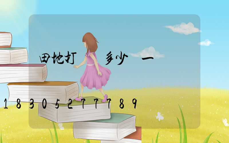 田地打藥機多少錢一臺