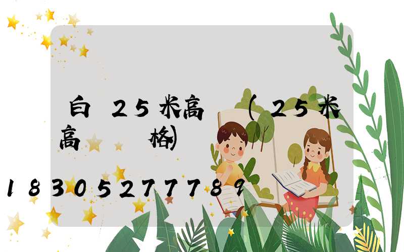 白銀25米高桿燈(25米高桿燈價格)