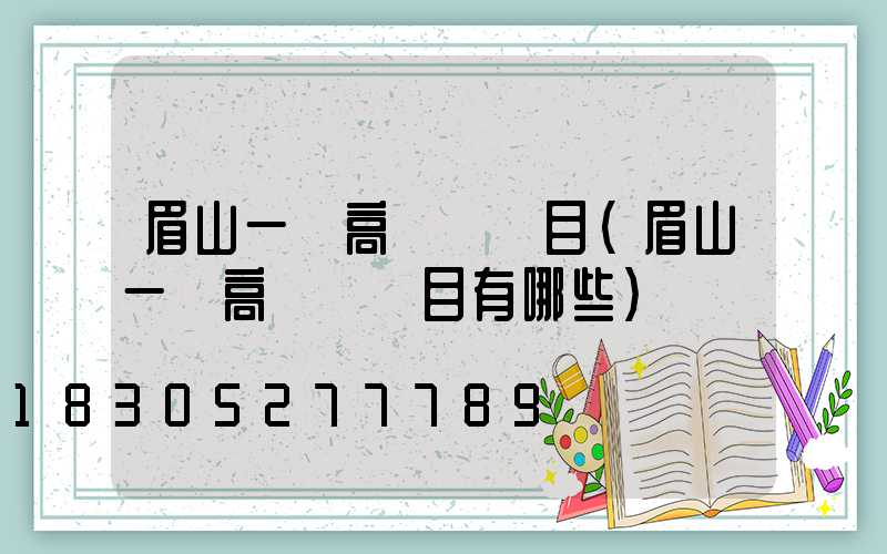 眉山一體高桿燈項目(眉山一體高桿燈項目有哪些)