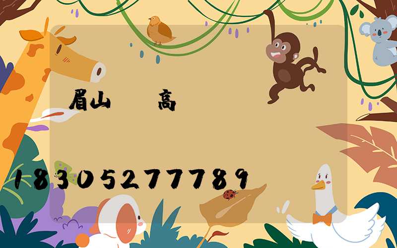 眉山廣場高桿燈