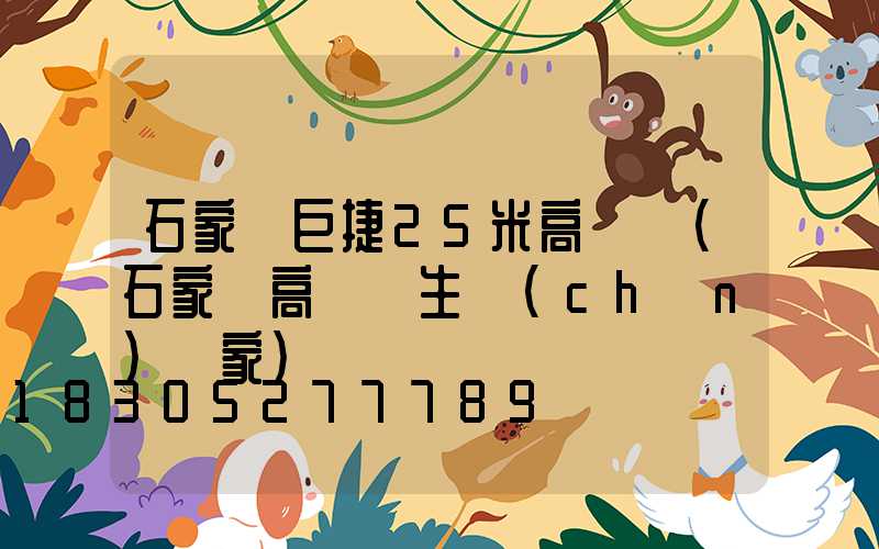 石家莊巨捷25米高桿燈(石家莊高桿燈生產(chǎn)廠家)