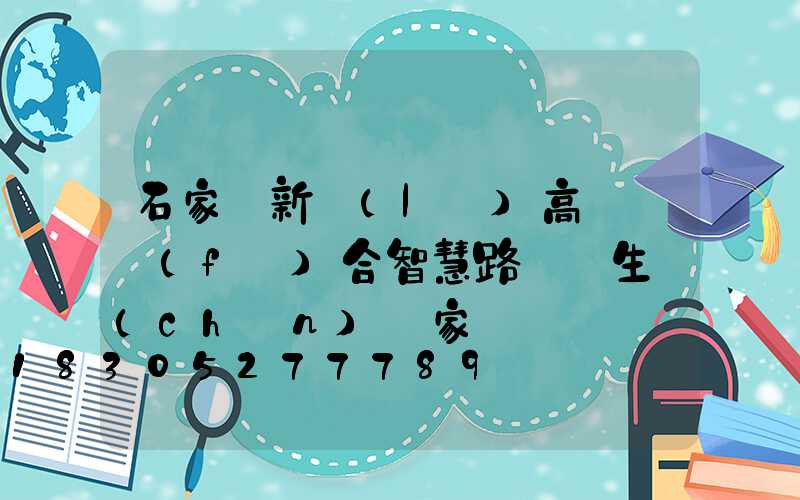 石家莊新樂(lè)高桿燈復(fù)合智慧路燈桿生產(chǎn)廠家