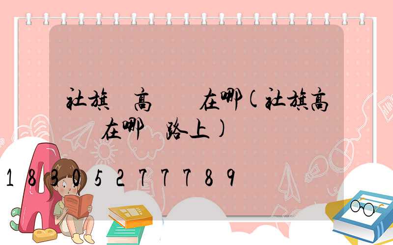社旗東高桿燈在哪(社旗高桿燈在哪個路上)