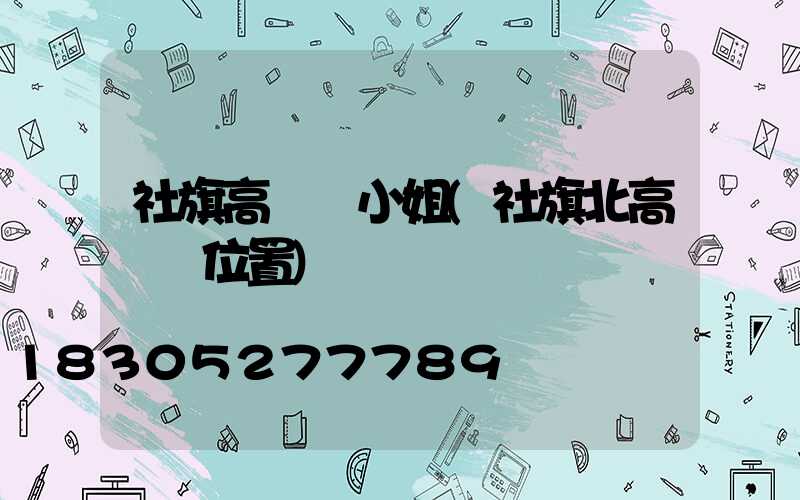 社旗高桿燈小姐(社旗北高桿燈位置)
