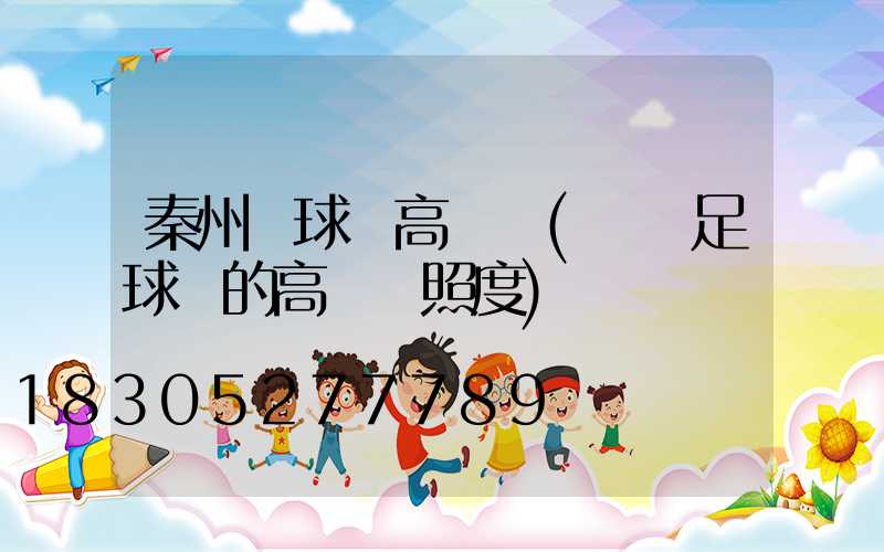 秦州區球場高桿燈(標準足球場的高桿燈照度)