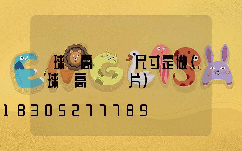籃球場高桿燈桿尺寸定做(藍球場高桿燈圖片)