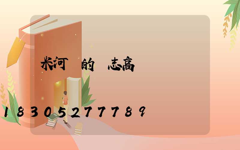 米河鎮的標志高桿燈