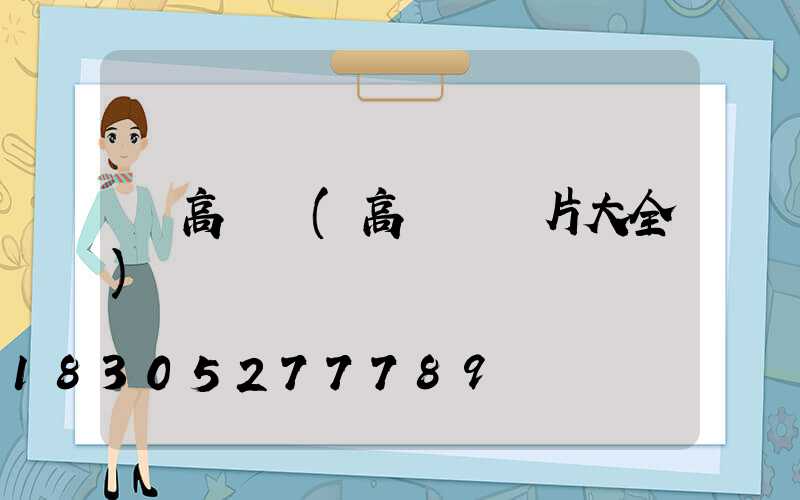 結高桿燈(高桿燈圖片大全)