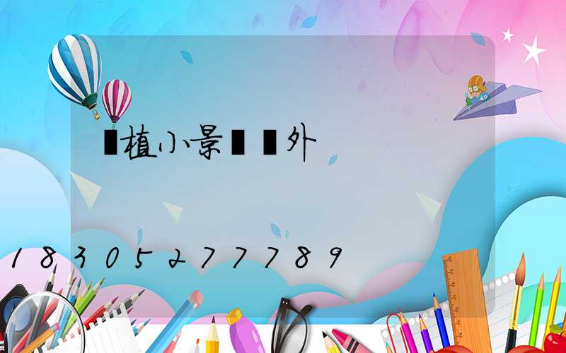 綠植小景觀戶外