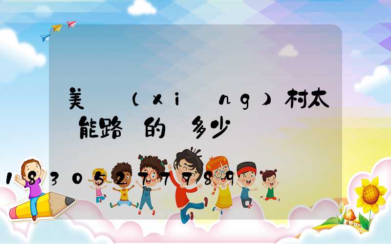 美麗鄉(xiāng)村太陽能路燈的燈多少錢