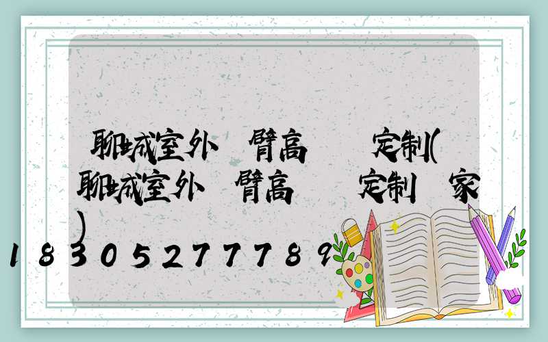 聊城室外雙臂高桿燈定制(聊城室外雙臂高桿燈定制廠家)
