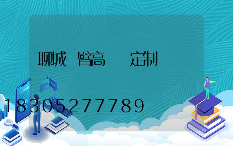 聊城雙臂高桿燈定制