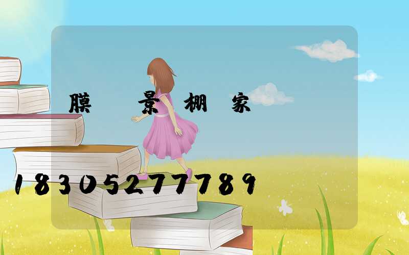 膜結構景觀棚廠家