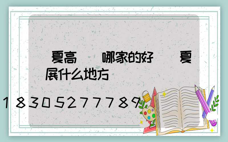 臨夏高桿燈哪家的好(臨夏燈展什么地方)