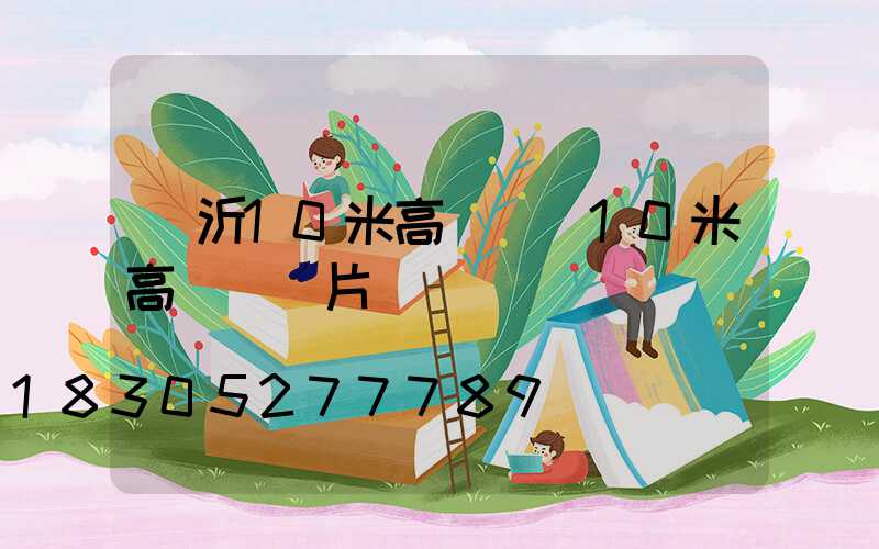 臨沂10米高桿燈(10米高桿燈圖片)