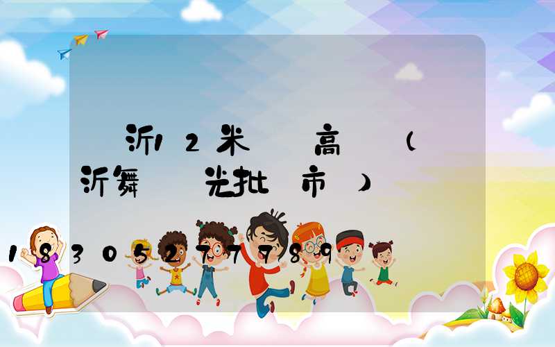 臨沂12米廣場高桿燈(臨沂舞臺燈光批發市場)