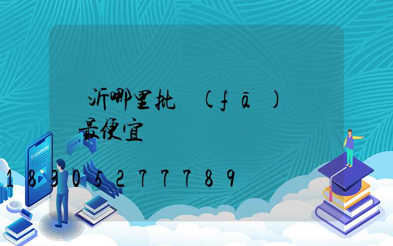 臨沂哪里批發(fā)電動車最便宜