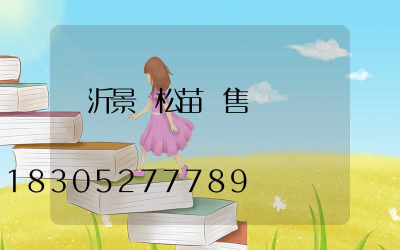 臨沂景觀松苗銷售