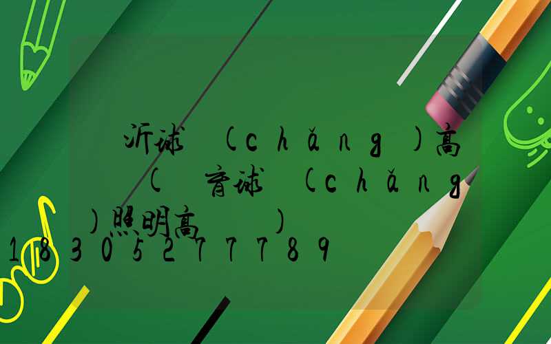 臨沂球場(chǎng)高桿燈(體育球場(chǎng)照明高桿燈)