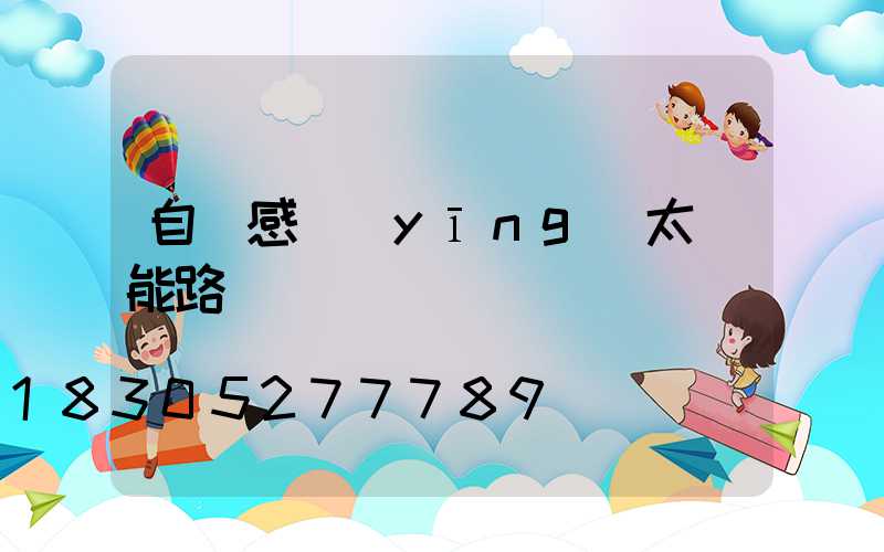 自動感應(yīng)太陽能路燈