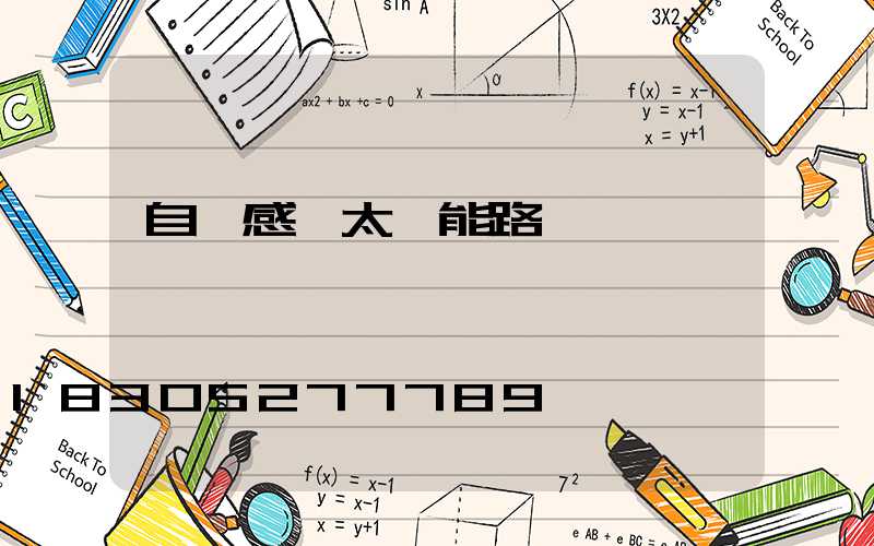 自動感應太陽能路燈