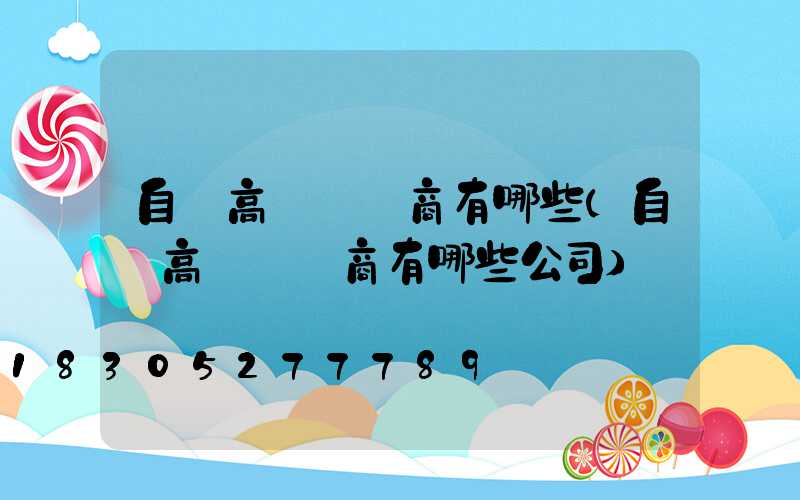 自貢高桿燈廠商有哪些(自貢高桿燈廠商有哪些公司)