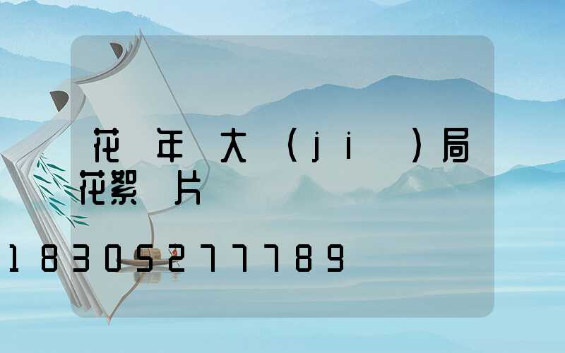 花樣年華大結(jié)局花絮圖片