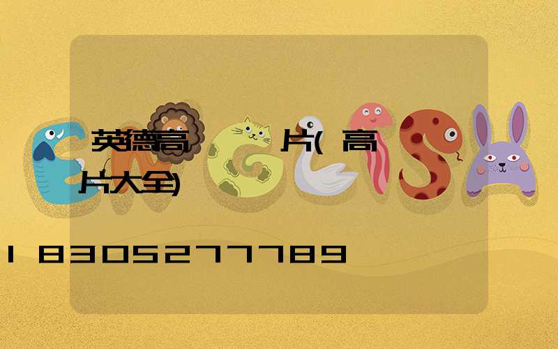 英德高桿燈圖片(高桿燈圖片大全)