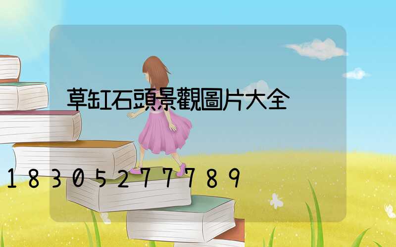 草缸石頭景觀圖片大全