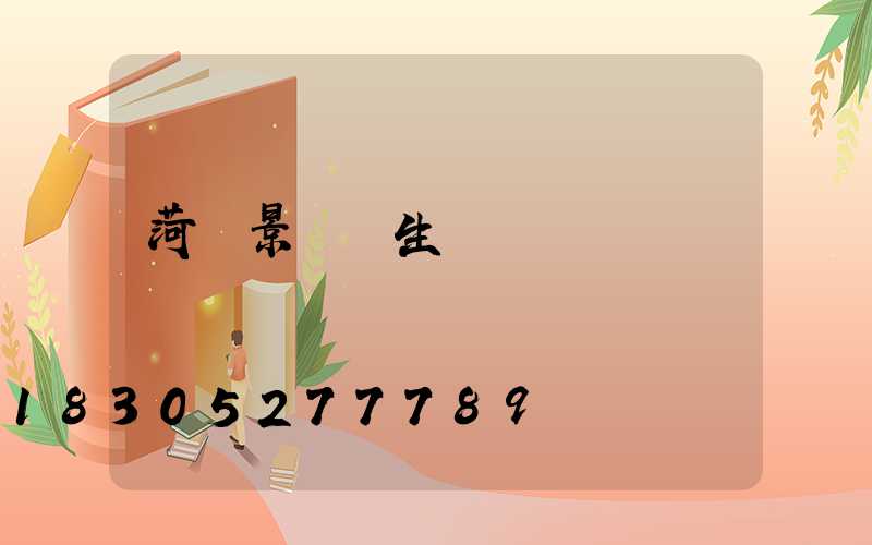 菏澤景觀燈生產