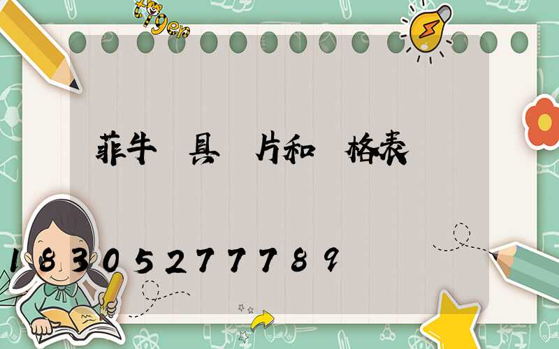 菲牛燈具圖片和價格表