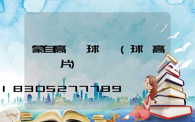 蒙自高桿燈球場廠(球場高桿燈圖片)