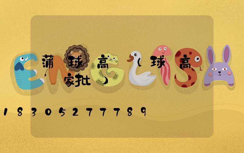 蒲縣球場高桿燈(球場高桿燈廠家批發)