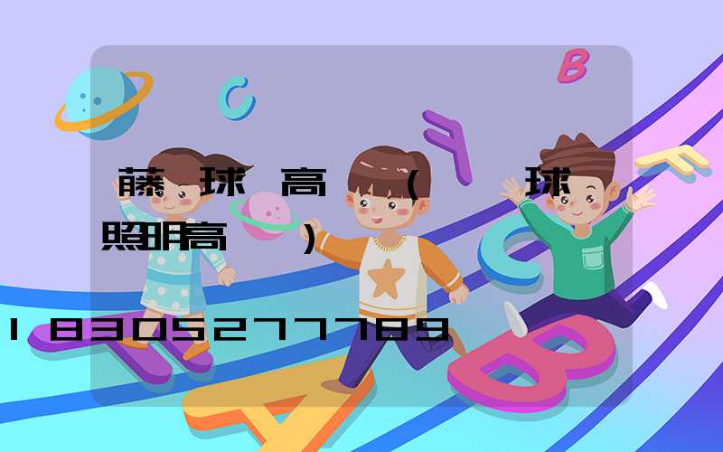 藤縣球場高桿燈(廣場球場照明高桿燈)