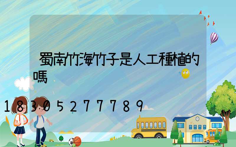 蜀南竹海竹子是人工種植的嗎