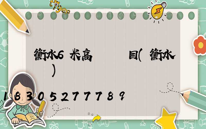 衡水6米高桿燈項目(衡水電桿)