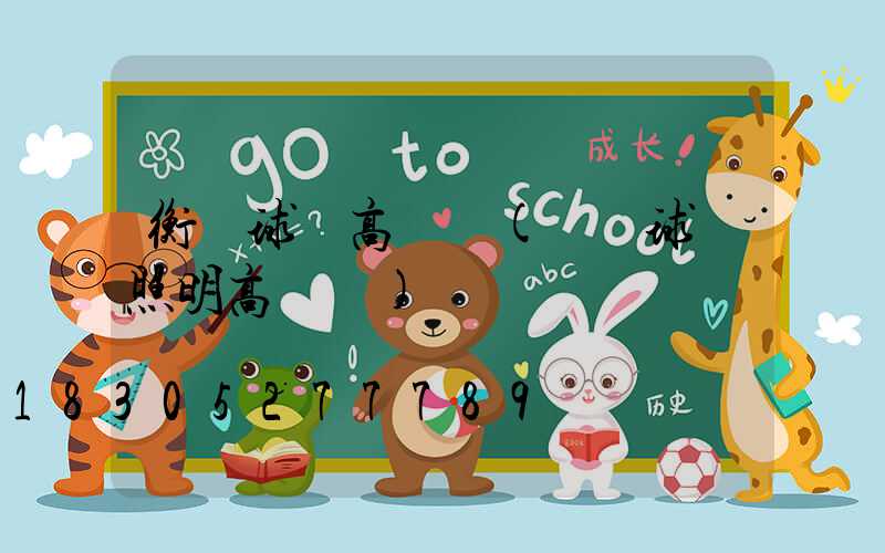 衡陽球場高桿燈(廣場球場照明高桿燈)