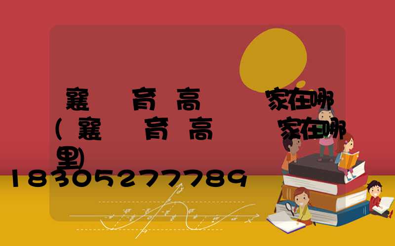 襄陽體育場高桿燈廠家在哪(襄陽體育場高桿燈廠家在哪里)
