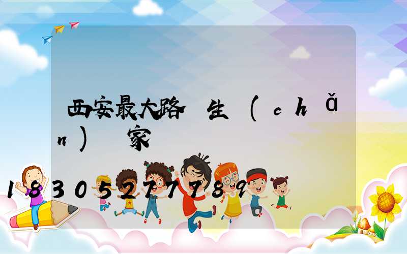 西安最大路燈生產(chǎn)廠家