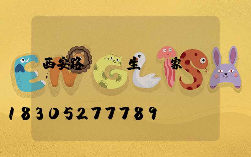 西安路燈燈籠生產廠家